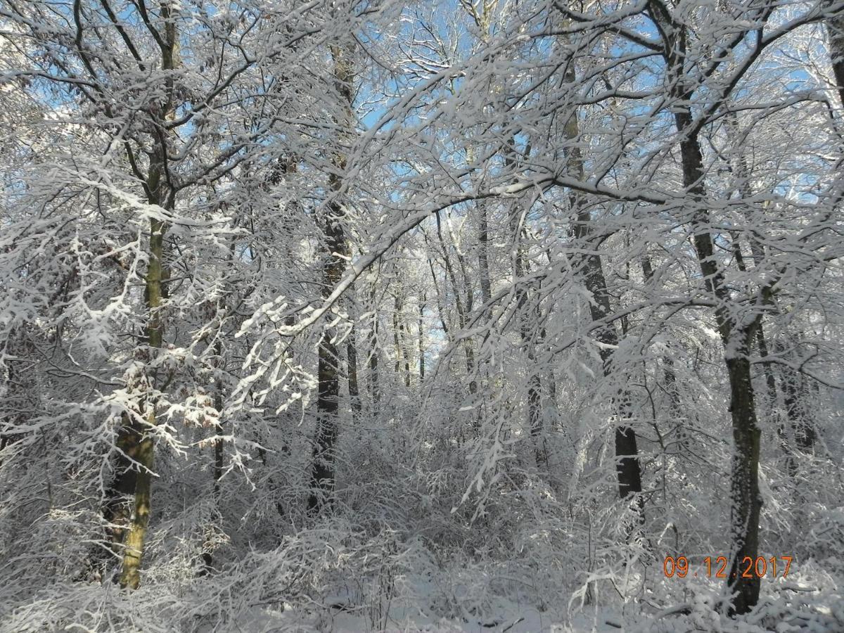 Gite 3 Frontières Hagenthal-le-Bas Extérieur photo